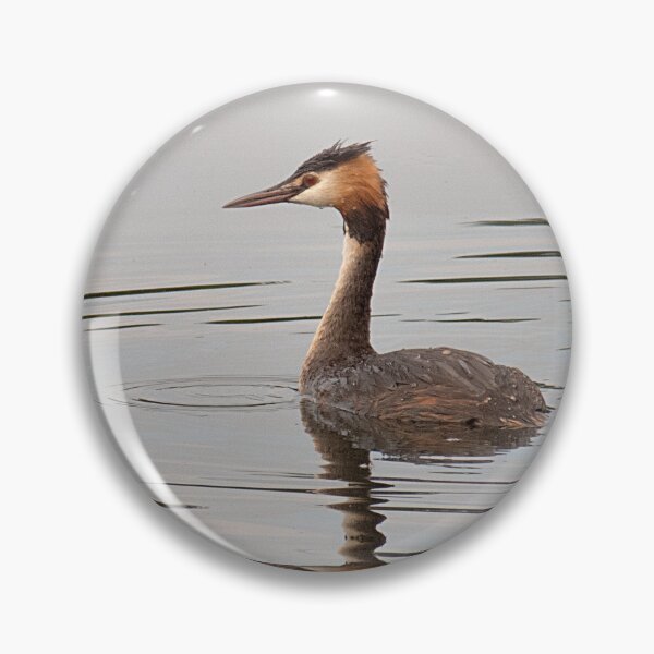 Item preview, Great Crested Grebe on the Water designed and sold by Dan Newton.