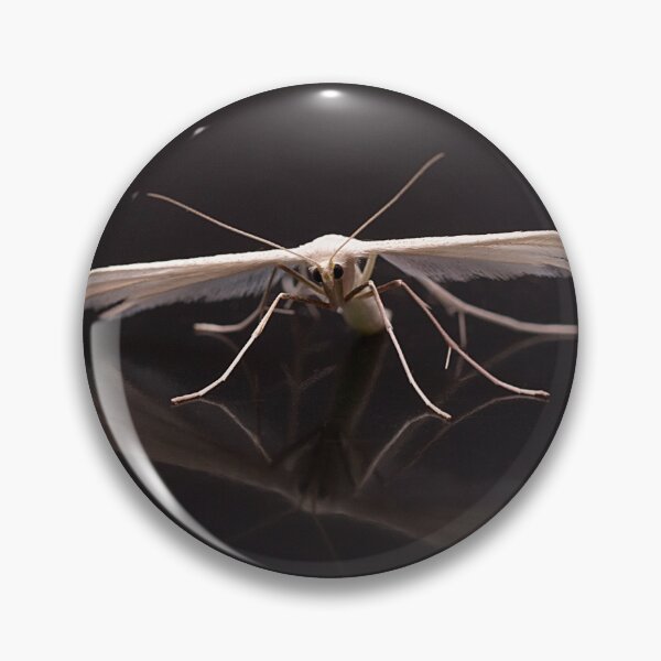 Item preview, White Plume Moth Portrait designed and sold by Dan Newton.