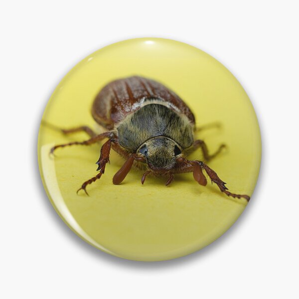 Item preview, Common Cockchafer Beetle designed and sold by Dan Newton.