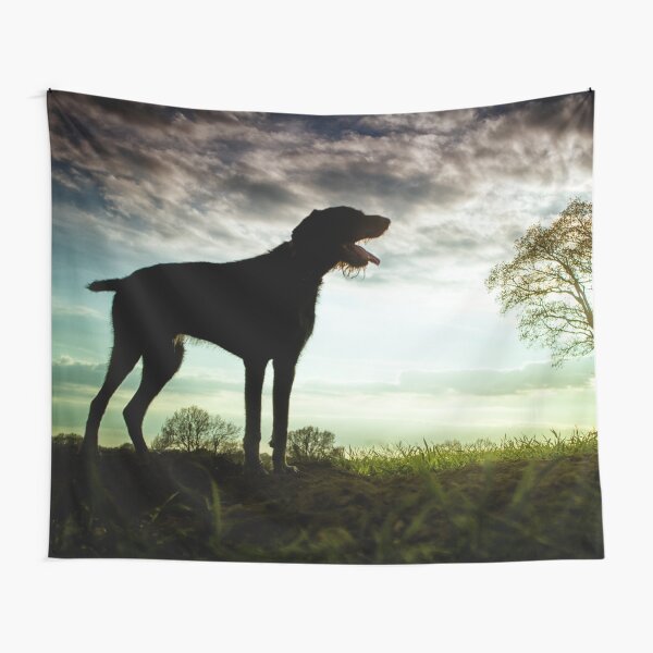German Wirehaired Pointer Sunset Tapestry
