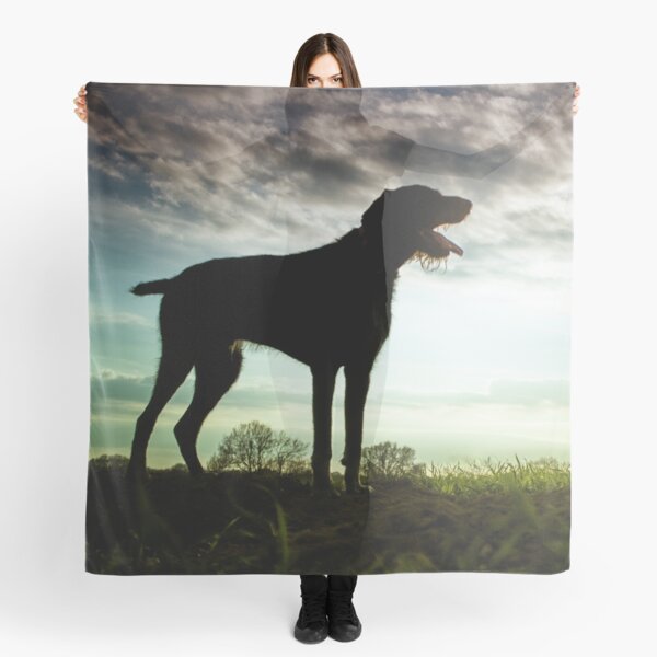 German Wirehaired Pointer Sunset Scarf