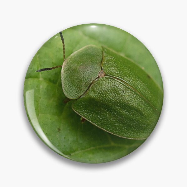 Item preview, Green Tortoise Beetle designed and sold by Dan Newton.