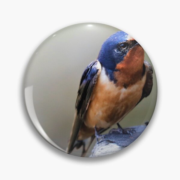 Item preview, Tree Swallow designed and sold by Rosie2019.