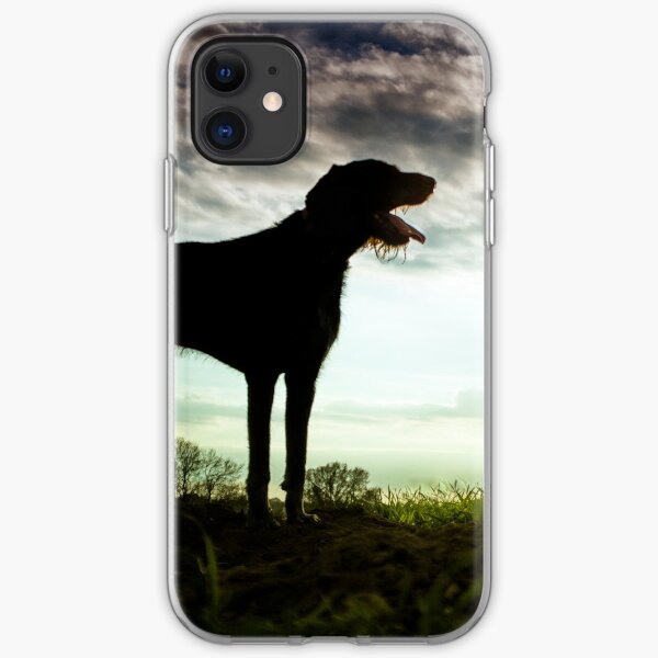 German Wirehaired Pointer Sunset iPhone Soft Case
