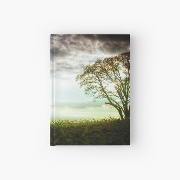 German Wirehaired Pointer Sunset Hardcover Journal