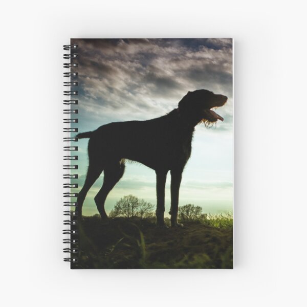 German Wirehaired Pointer Sunset Spiral Notebook