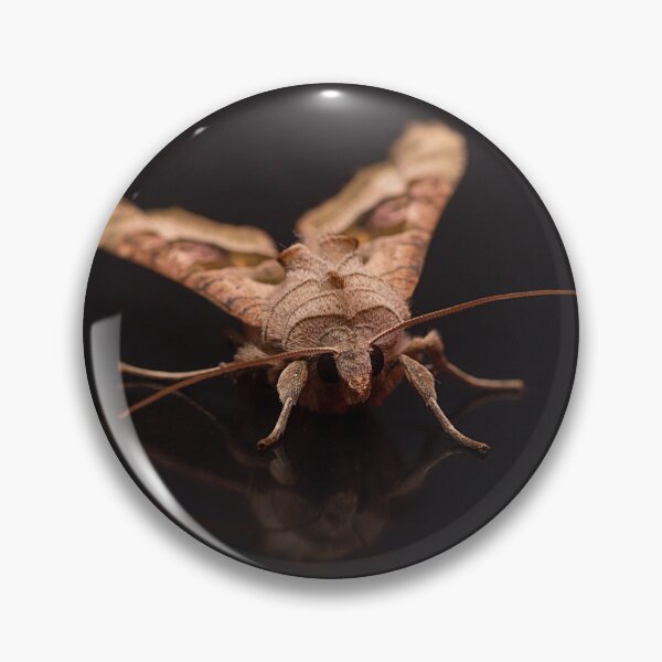 Item preview, Angle Shades Portrait designed and sold by Dan Newton.
