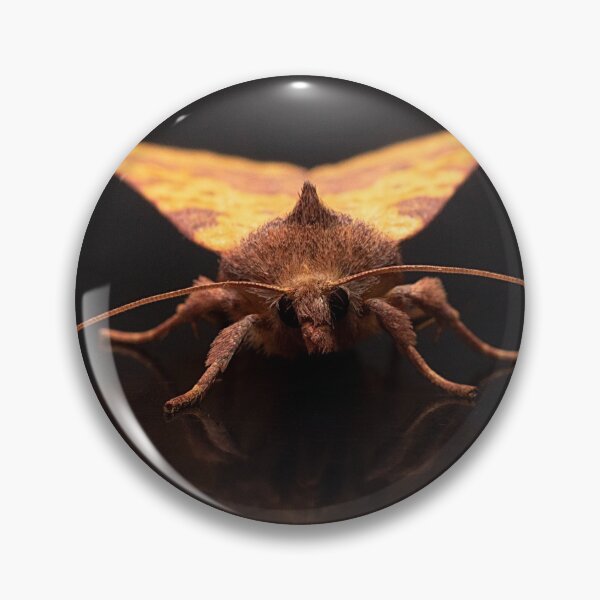 Item preview, Pink-barred Sallow Portrait designed and sold by Dan Newton.