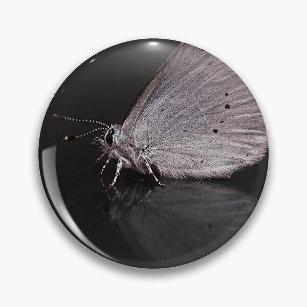 Item preview, Holly Blue Butterfly Portrait designed and sold by Dan Newton.