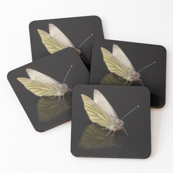Item preview, Green-veined White Butterfly Portrait designed and sold by Dan Newton.