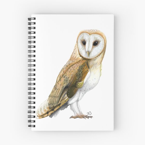 Item preview, The barn owl designed and sold by Llyndoodles.