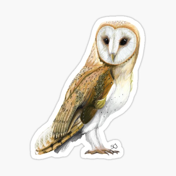 Item preview, The barn owl designed and sold by Llyndoodles.
