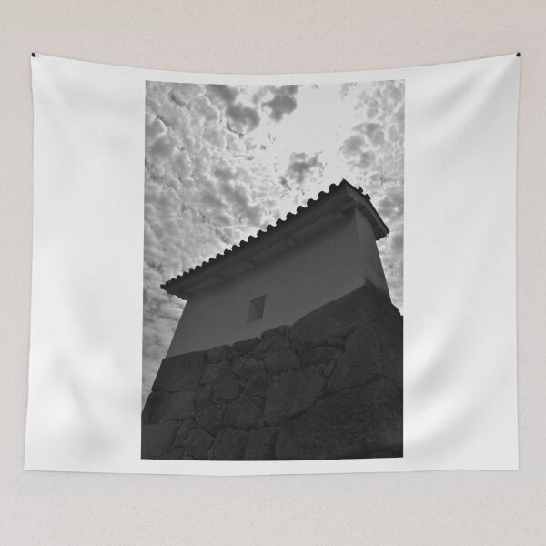 Item preview, Himeji Castle Wall Detail, Japan designed and sold by Igor Pozdnyakov.