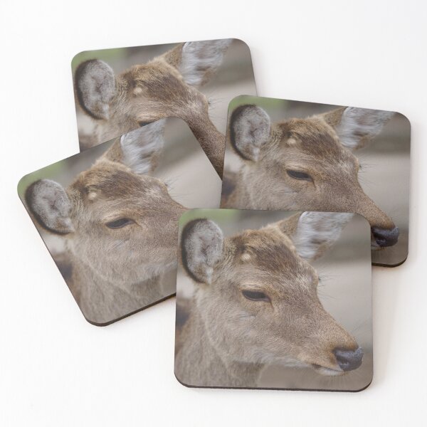 Item preview, Sika Deer (Cervus nippon) from Nara, Japan designed and sold by rodmacpherson.
