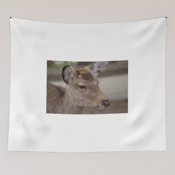 Item preview, Sika Deer (Cervus nippon) from Nara, Japan designed and sold by rodmacpherson.