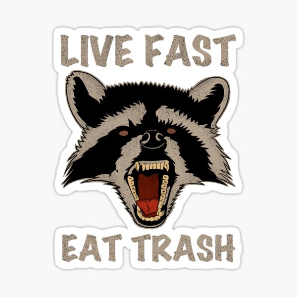 raccoon live fast eat trash Sticker