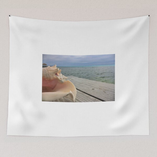 Item preview, Conch Shell designed and sold by rwhitney22.