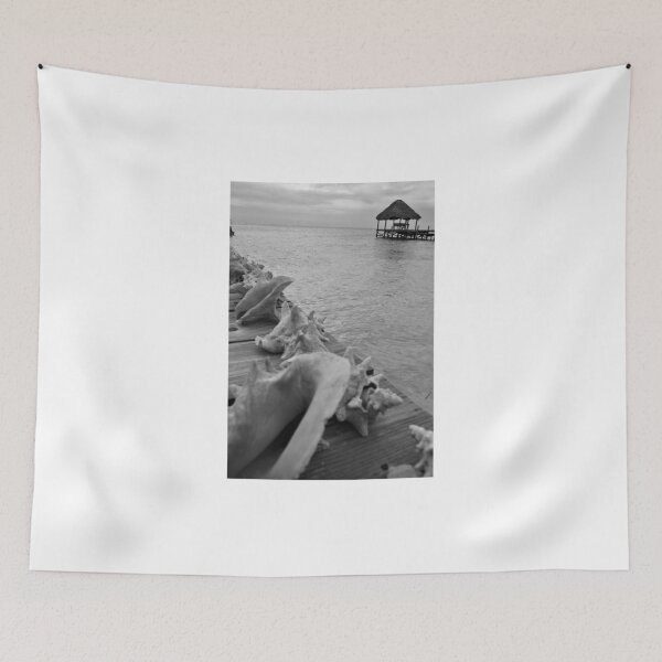 Item preview, Shells and Palapa designed and sold by rwhitney22.