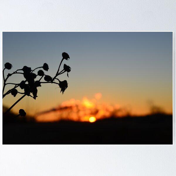 Artikelvorschau, Silhouette Sunrise, Sillhouette Artwork, Tagesanbruch Bilder entworfen und verkauft von Midsummer1942.