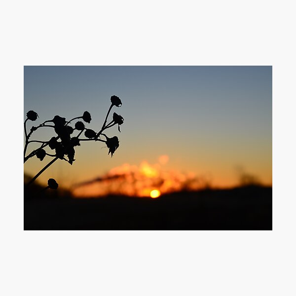 Item preview, Silueta Amanecer, Obras De Arte De Sillhouette designed and sold by Midsummer1942.