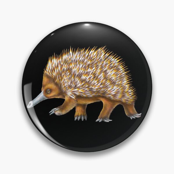 Item preview, Echidna designed and sold by TimJeffsArt.