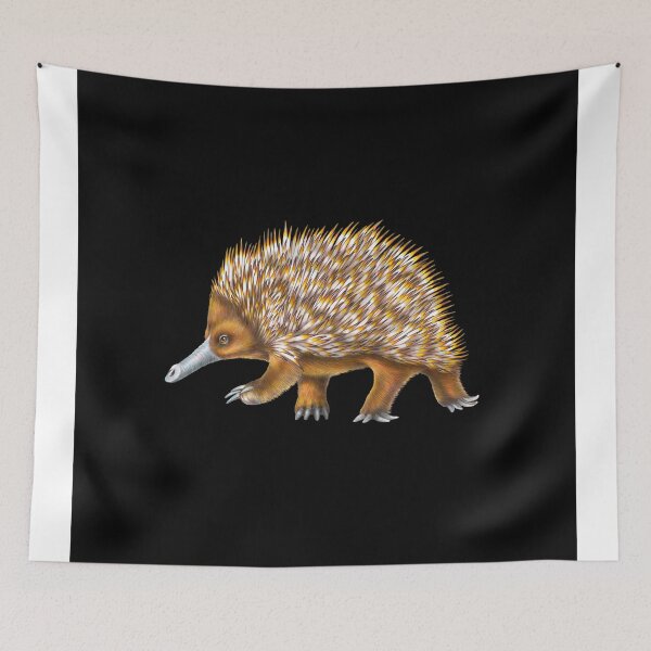 Item preview, Echidna designed and sold by TimJeffsArt.