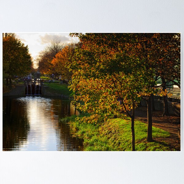 Item preview, Grand Canal in autumn, Dublin, Ireland designed and sold by AndrewJonesFoto.