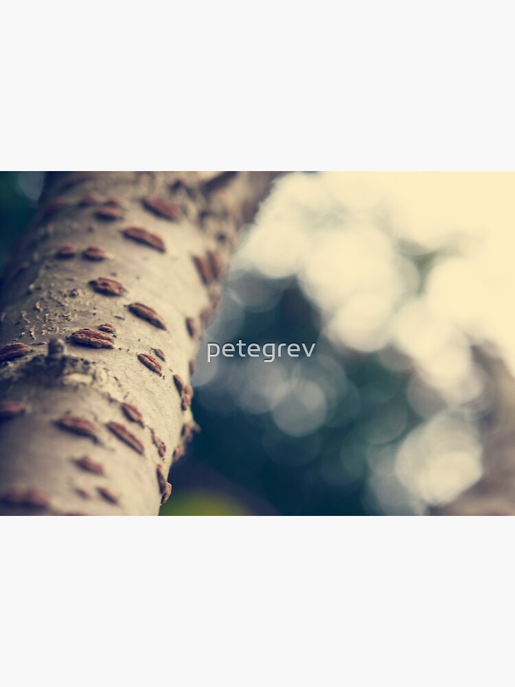 Day 118 - 5th November 2011 by petegrev
