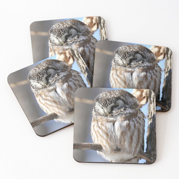 Item preview, Beautiful boreal owl designed and sold by locustgirl.