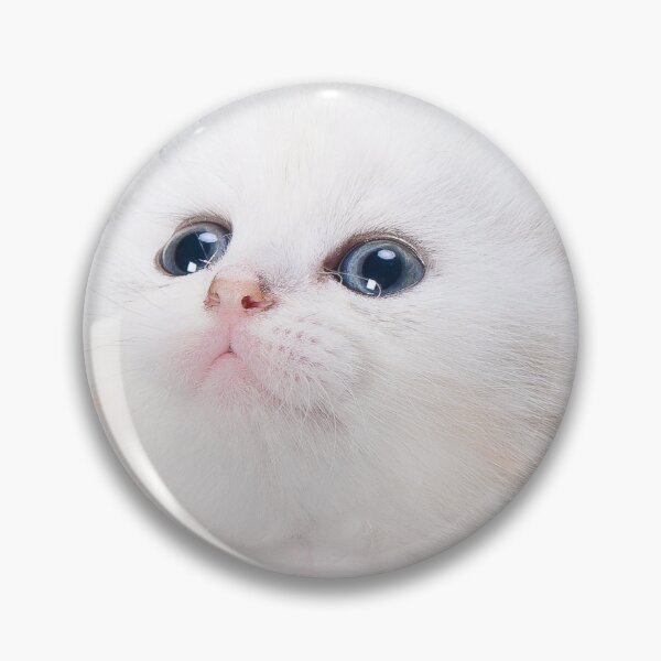 Item preview, Little kitten designed and sold by Margolin88.