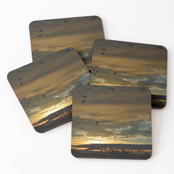Item preview, Sunrise Photo, Birds in Flight Photo, Morning Flight designed and sold by Midsummer1942.