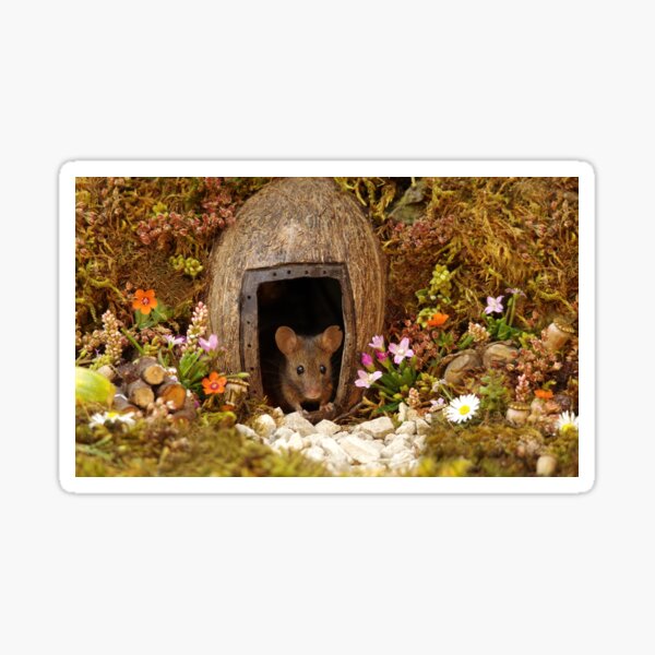 George the mouse in a log pile House at the door Sticker
