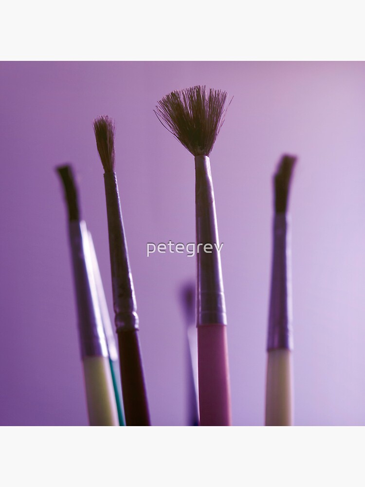 Day 120 - 7th November 2011 by petegrev