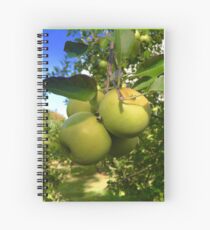 Cuaderno de espiral Bunch of Apples