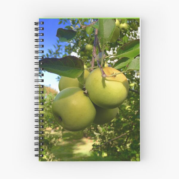 Item preview, Bunch of Apples  designed and sold by Anthonycola21.