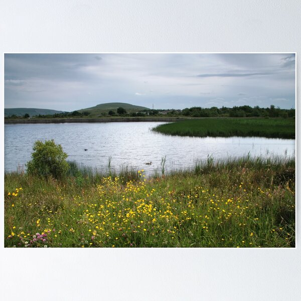 Item preview, A summer afternoon by the pond designed and sold by Jane Corey.