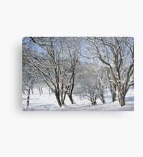 Cwm in snow Metal Print