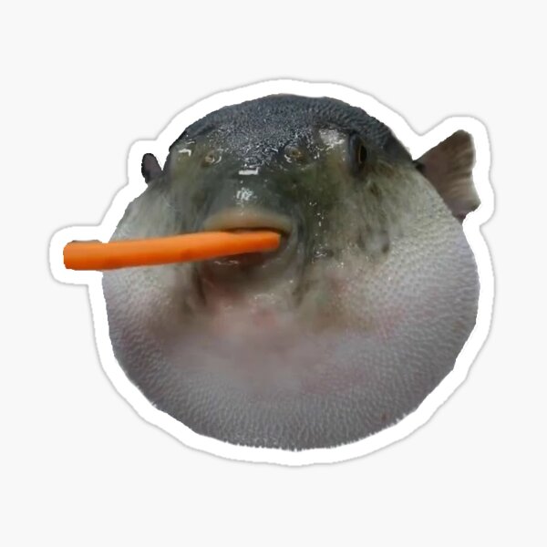 Pufferfish Meme Stickers Redbubble - roblox pufferfish eating a carrot