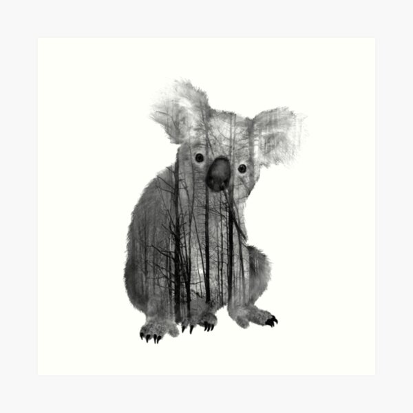 Australian Misty Forest Koala Bear Art Print