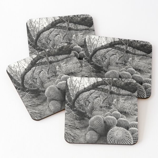 Item preview, Barrel Cacti designed and sold by Elisabeth Lucas.