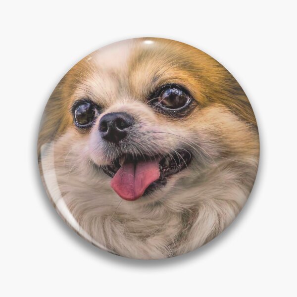Item preview, Sweet Chihuahua designed and sold by Elisabeth Lucas.