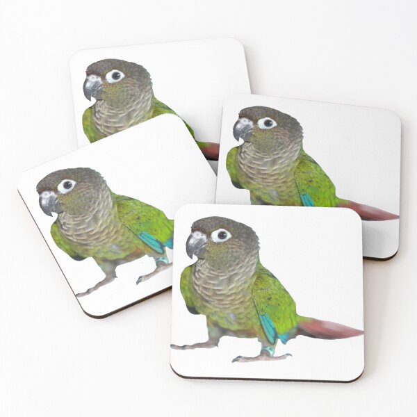 Item preview, green-cheeked Conure designed and sold by Lucikitsune.