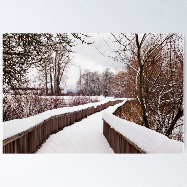 Item preview, Snow Covered Path designed and sold by Lynnette Peizer.