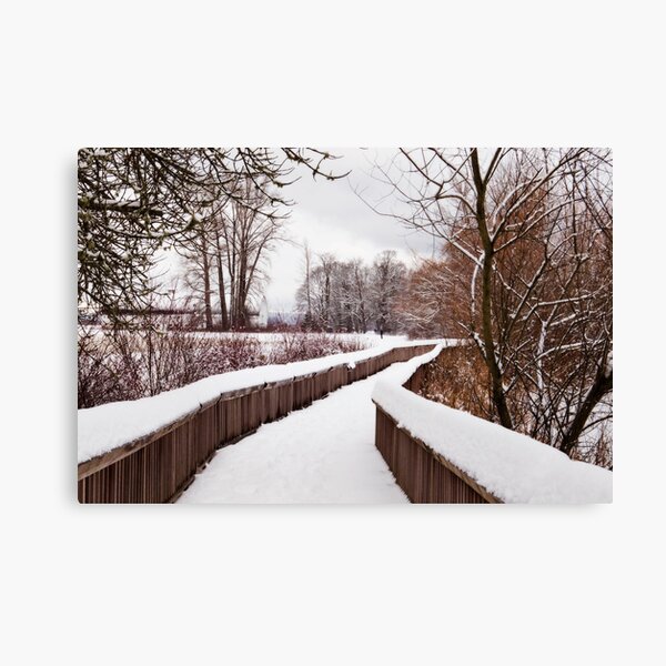Item preview, Snow Covered Path designed and sold by Lynnette Peizer.