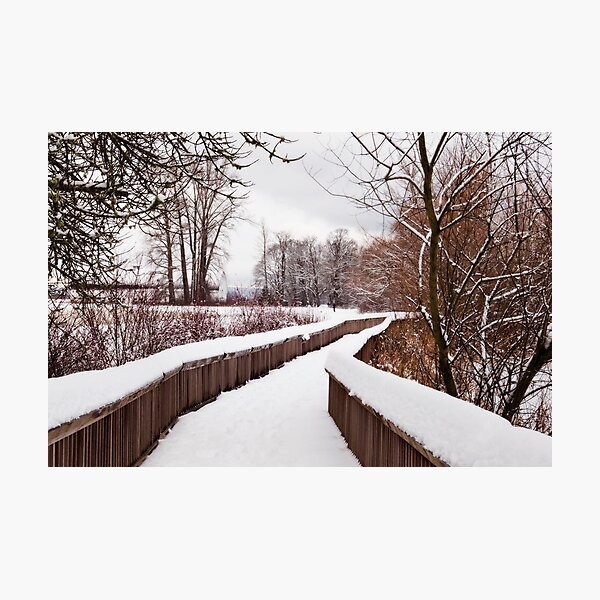 Item preview, Snow Covered Path designed and sold by Lynnette Peizer.