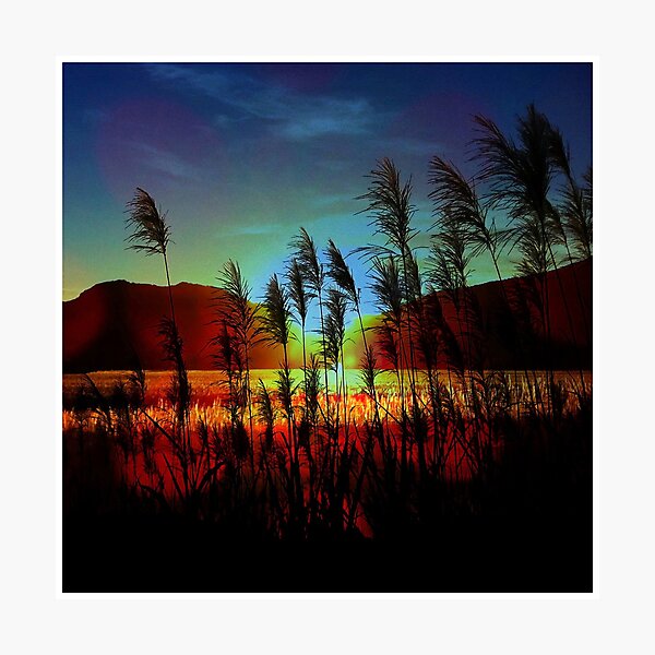Item preview, Sugarcane Sunset designed and sold by MobiTog.