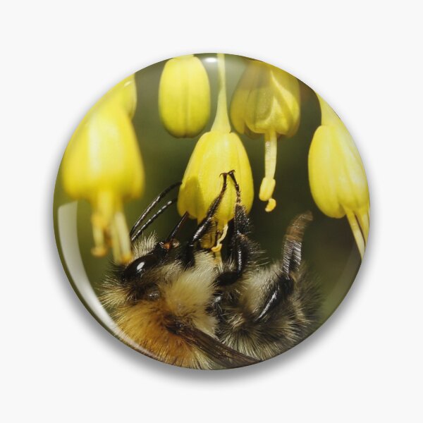 Artikelvorschau, Bee on Allium (Fireworks) entworfen und verkauft von AnnDixon.