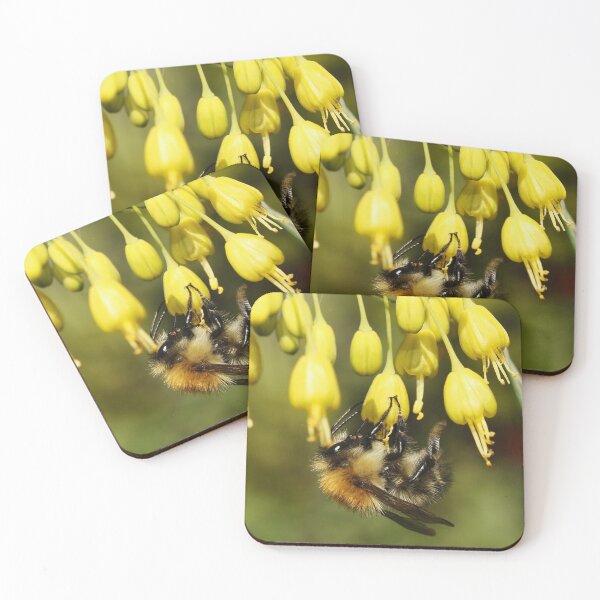 Artikelvorschau, Bee on Allium (Fireworks) entworfen und verkauft von AnnDixon.