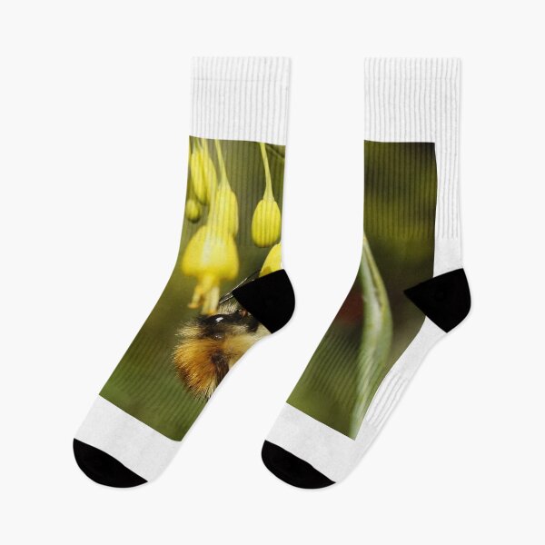 Item preview, Bee on Allium (Fireworks) designed and sold by AnnDixon.