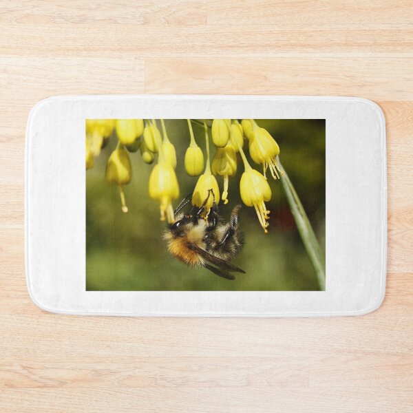 Item preview, Bee on Allium (Fireworks) designed and sold by AnnDixon.